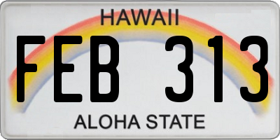 HI license plate FEB313