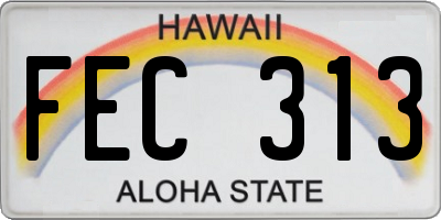 HI license plate FEC313