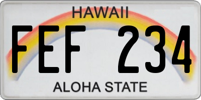 HI license plate FEF234
