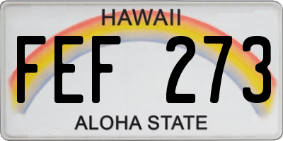HI license plate FEF273