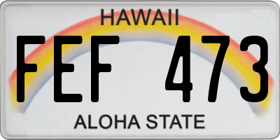 HI license plate FEF473