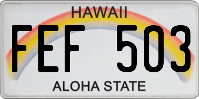 HI license plate FEF503