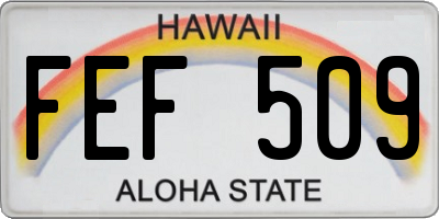 HI license plate FEF509