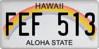 HI license plate FEF513