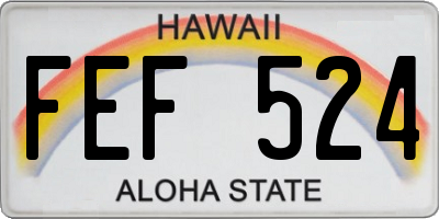 HI license plate FEF524