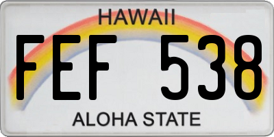 HI license plate FEF538