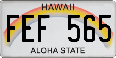 HI license plate FEF565
