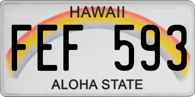HI license plate FEF593