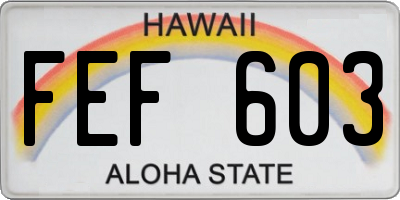 HI license plate FEF603