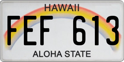 HI license plate FEF613