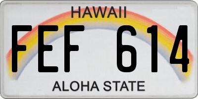 HI license plate FEF614