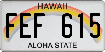 HI license plate FEF615