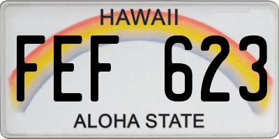HI license plate FEF623