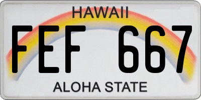 HI license plate FEF667