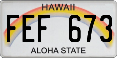 HI license plate FEF673