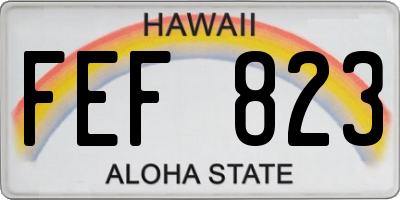 HI license plate FEF823