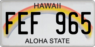 HI license plate FEF965