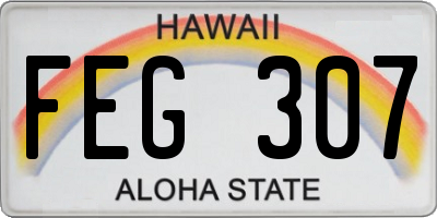 HI license plate FEG307