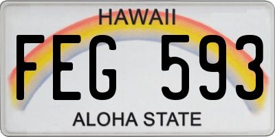 HI license plate FEG593