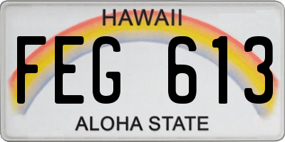 HI license plate FEG613