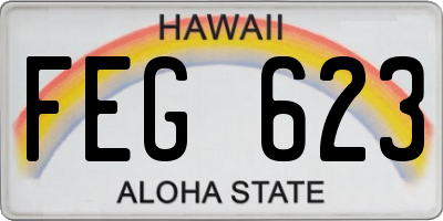 HI license plate FEG623