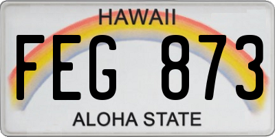 HI license plate FEG873