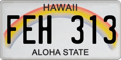 HI license plate FEH313