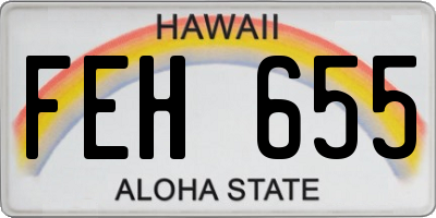 HI license plate FEH655