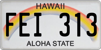HI license plate FEI313