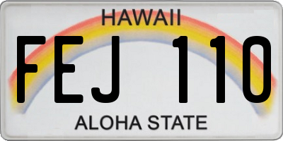 HI license plate FEJ110