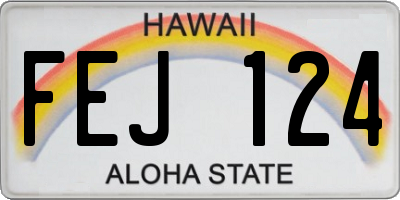 HI license plate FEJ124