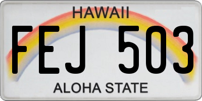 HI license plate FEJ503