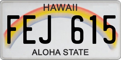 HI license plate FEJ615