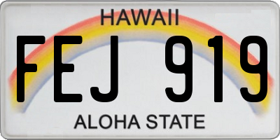 HI license plate FEJ919
