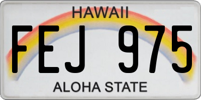 HI license plate FEJ975