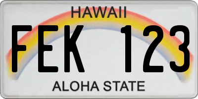 HI license plate FEK123