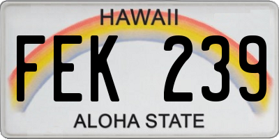 HI license plate FEK239