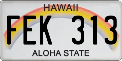 HI license plate FEK313