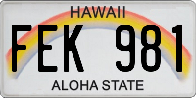 HI license plate FEK981