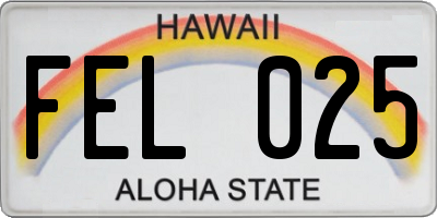 HI license plate FEL025