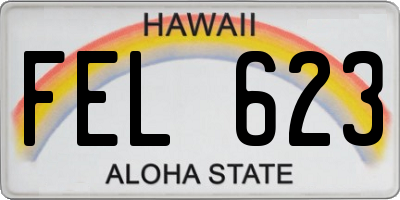 HI license plate FEL623