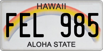 HI license plate FEL985