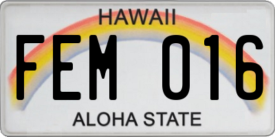 HI license plate FEM016