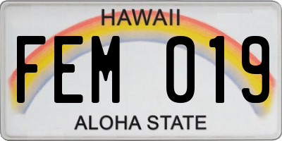 HI license plate FEM019