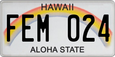 HI license plate FEM024
