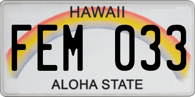 HI license plate FEM033
