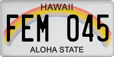 HI license plate FEM045