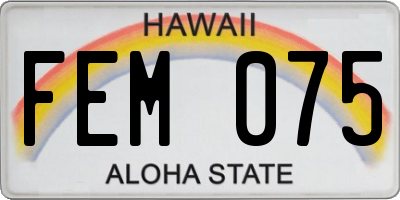 HI license plate FEM075