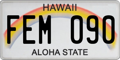 HI license plate FEM090