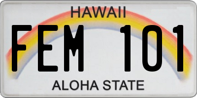 HI license plate FEM101